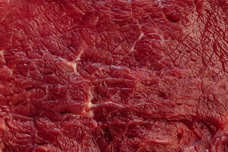 The Secret's in the Fat: How Beef Fat Composition Makes or Breaks Your Burger